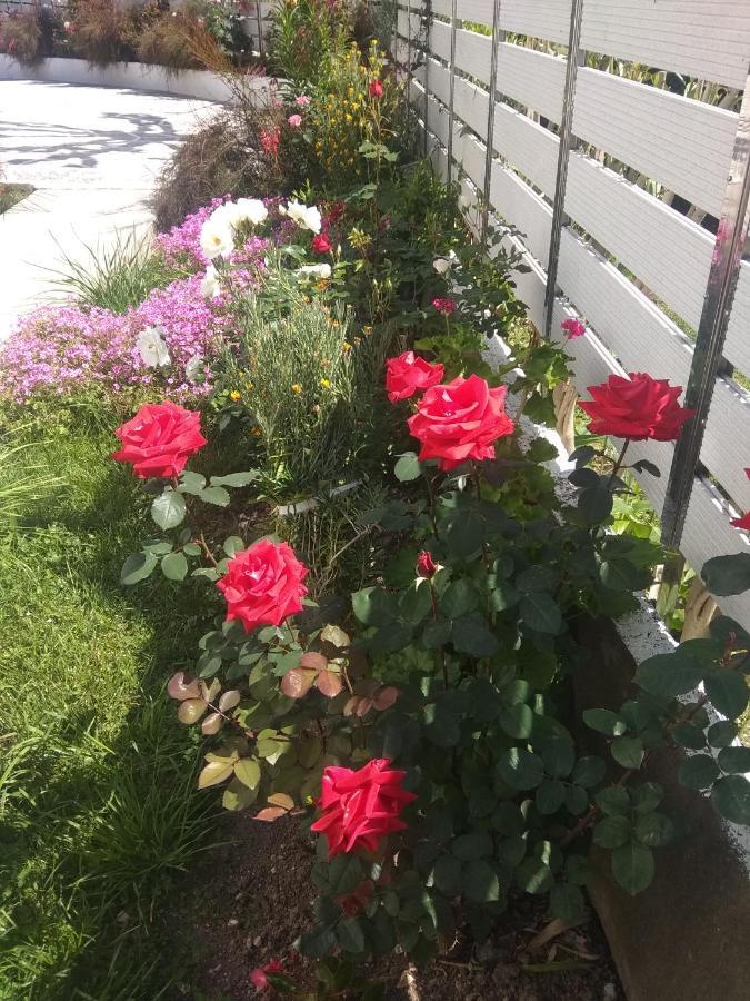 Oasis Hotel ปาร์กา ภายนอก รูปภาพ